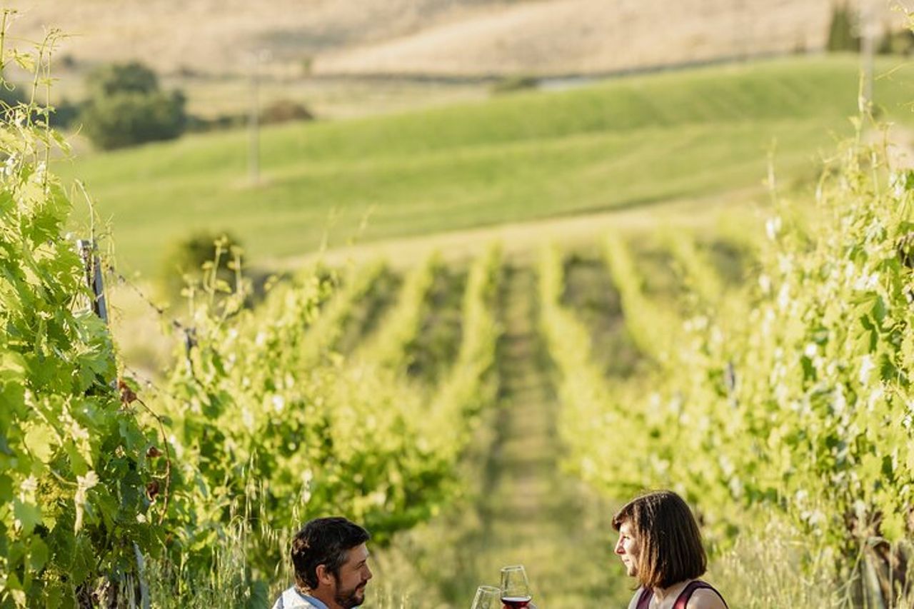 Montalcino: esclusivo picnic in vigna con vino — 6