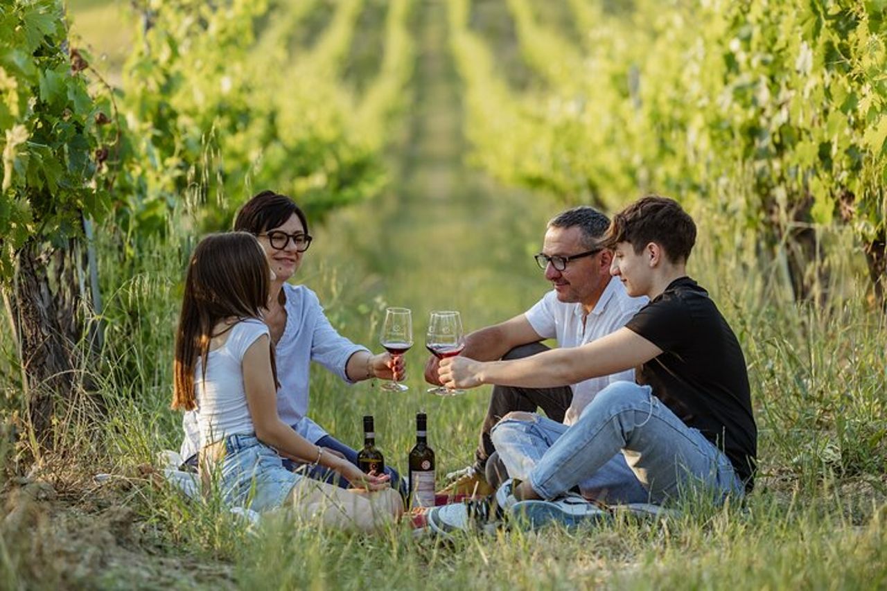 Montalcino: esclusivo picnic in vigna con vino