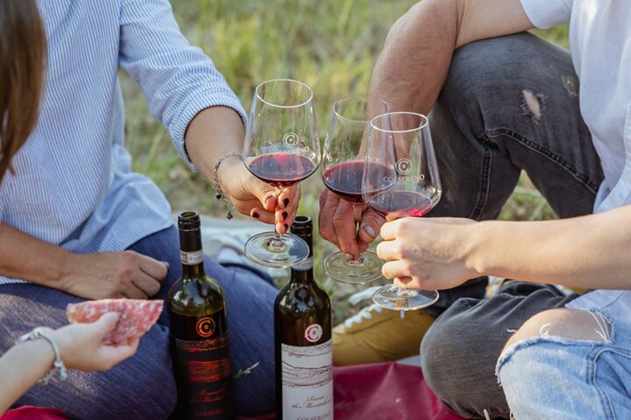 Montalcino: esclusivo picnic in vigna con vino — 9