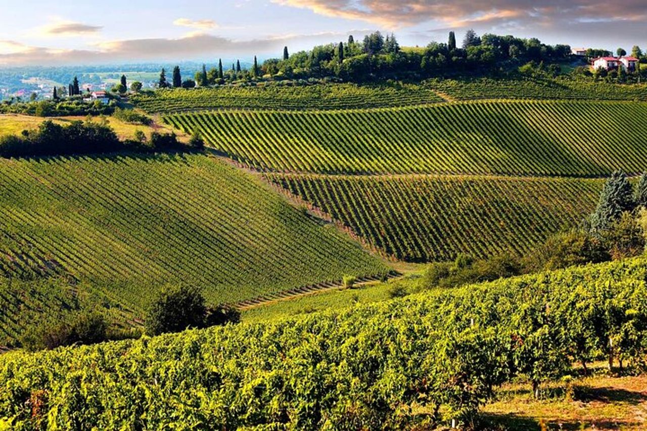 San Gimignano e l'esperienza della cantina con pranzo leggero da Lucca — 6