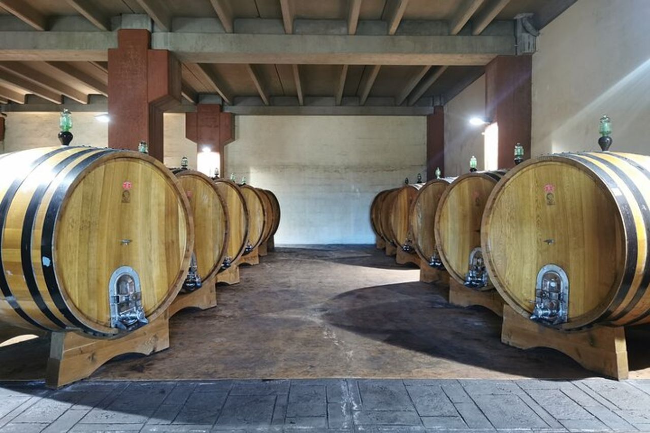 Tour di degustazione di vini di Castelmola e dell'Etna da Messina — 2