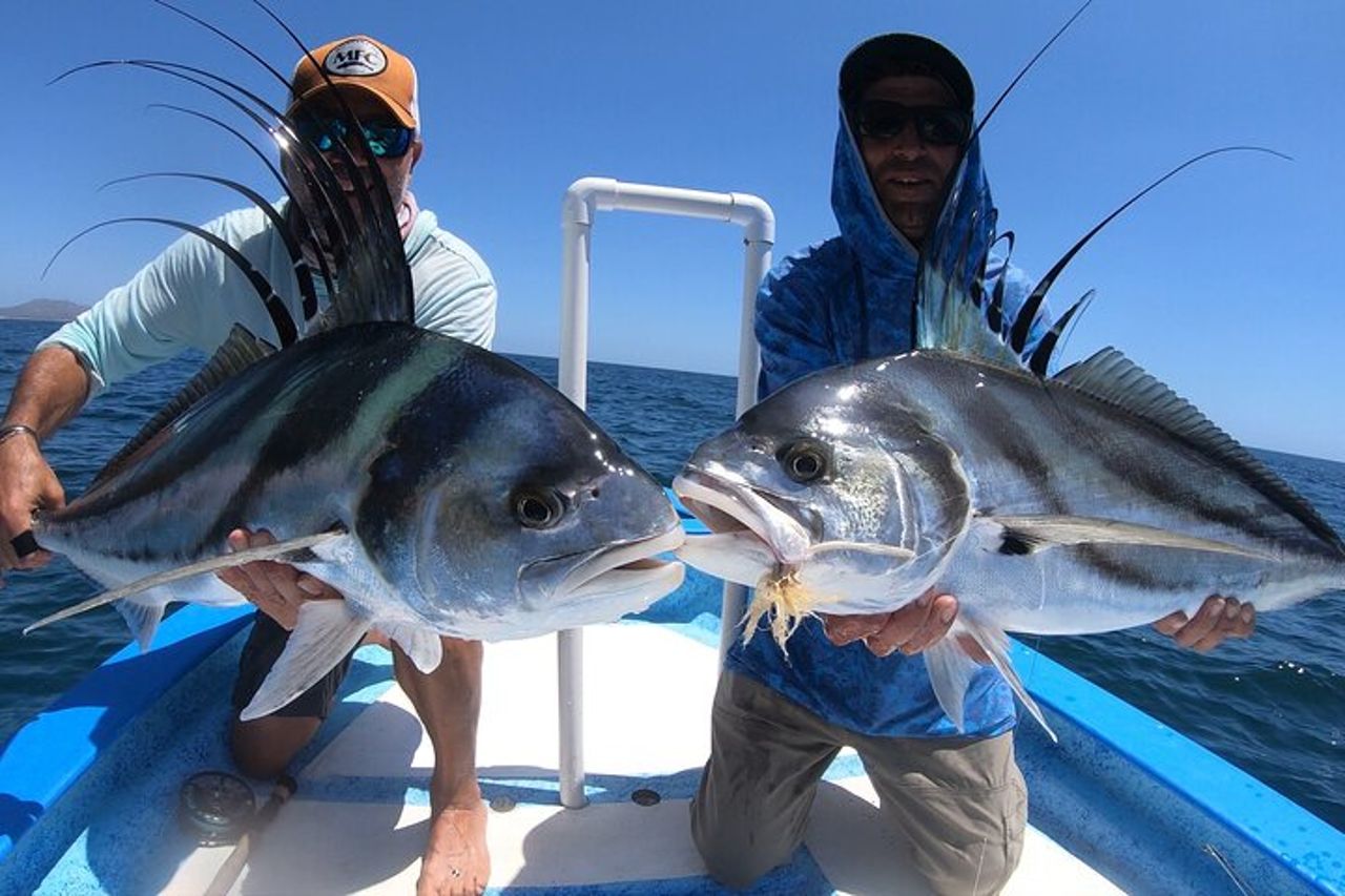 Baja Fishing Dream Pesce Gallo Dorado Marlin Tonno a coda gialla — 2