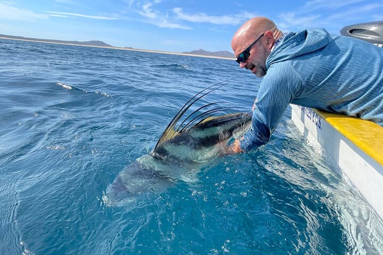 Baja Fishing Dream Pesce Gallo Dorado Marlin Tonno a coda gialla — 8