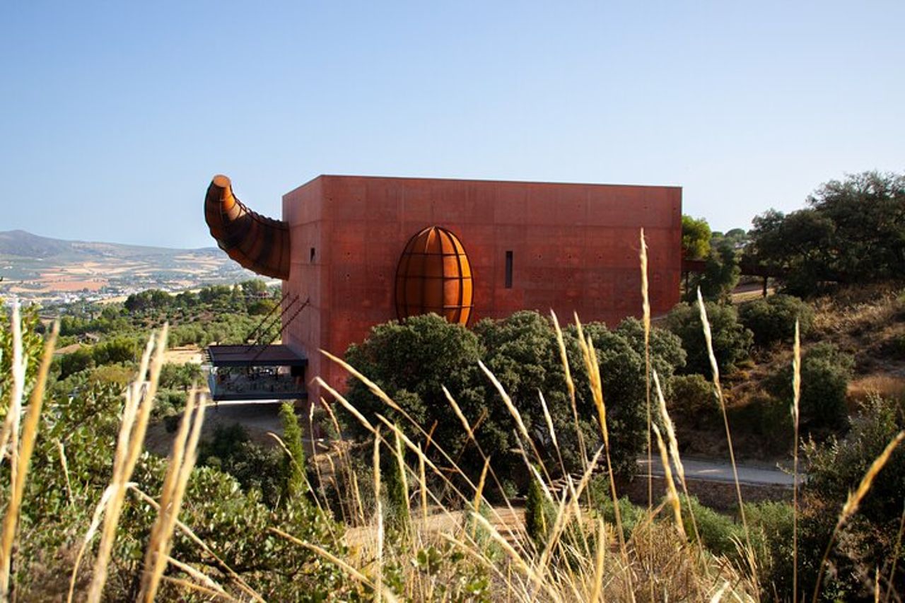 Degustazione di olio d'oliva a Ronda: Frantoio El Toro — 7