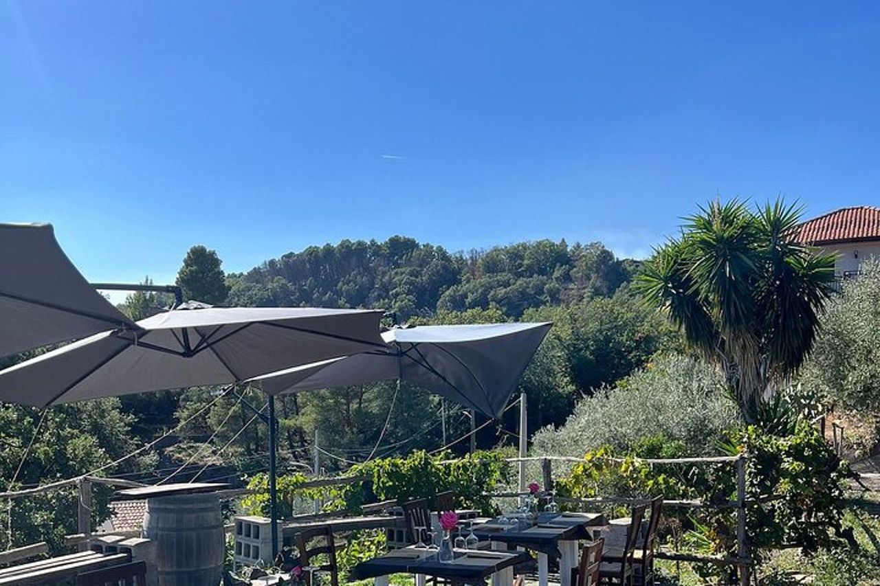 Da Taormina : Tour privato dell'Etna + Due Cantine Etna Family — 3