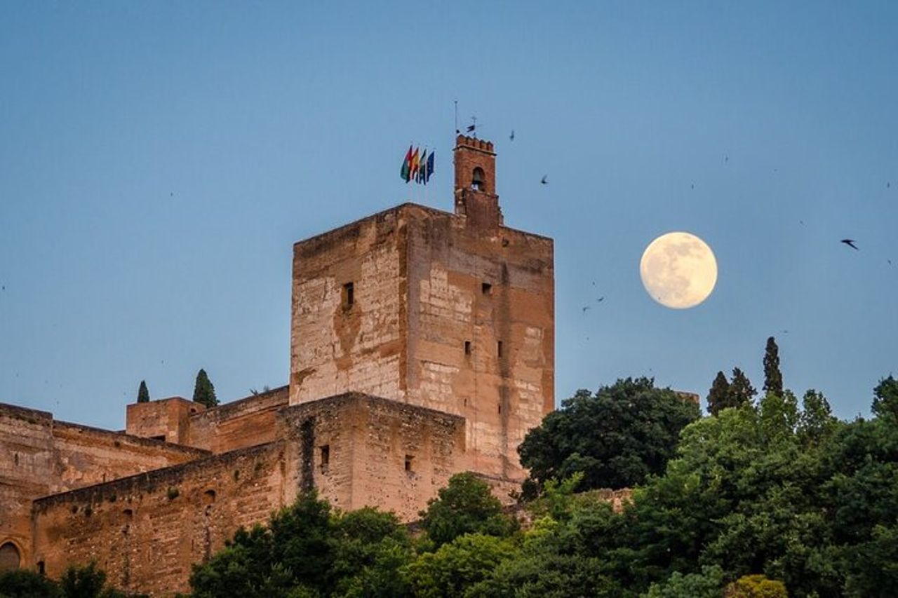 Da Almeria: Gita privata di un giorno all'Alhambra e Granada — 4