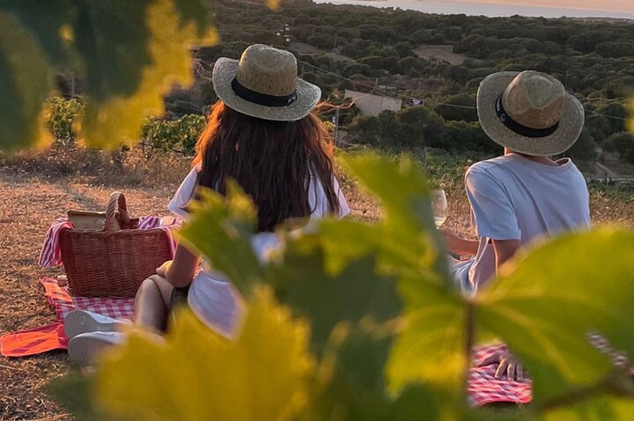 Palau Picnic per Piccoli Gruppi in Tenuta Gallura con Degustazione di Vini — 3