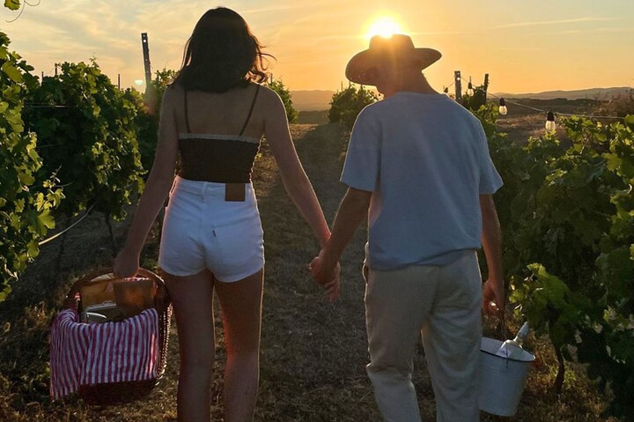 Palau Picnic per Piccoli Gruppi in Tenuta Gallura con Degustazione di Vini — 5