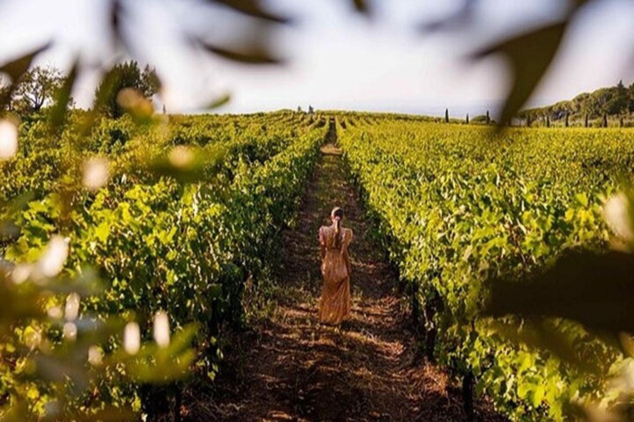 Fuga nella campagna romana: tour di Tivoli e degustazione di vini da Roma — 8