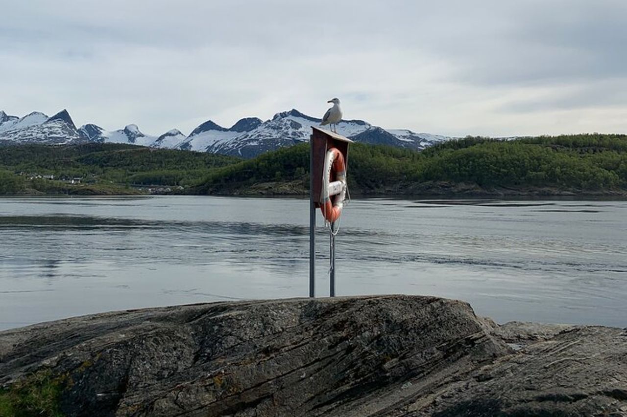 Tour magico di Saltstraumen — 4