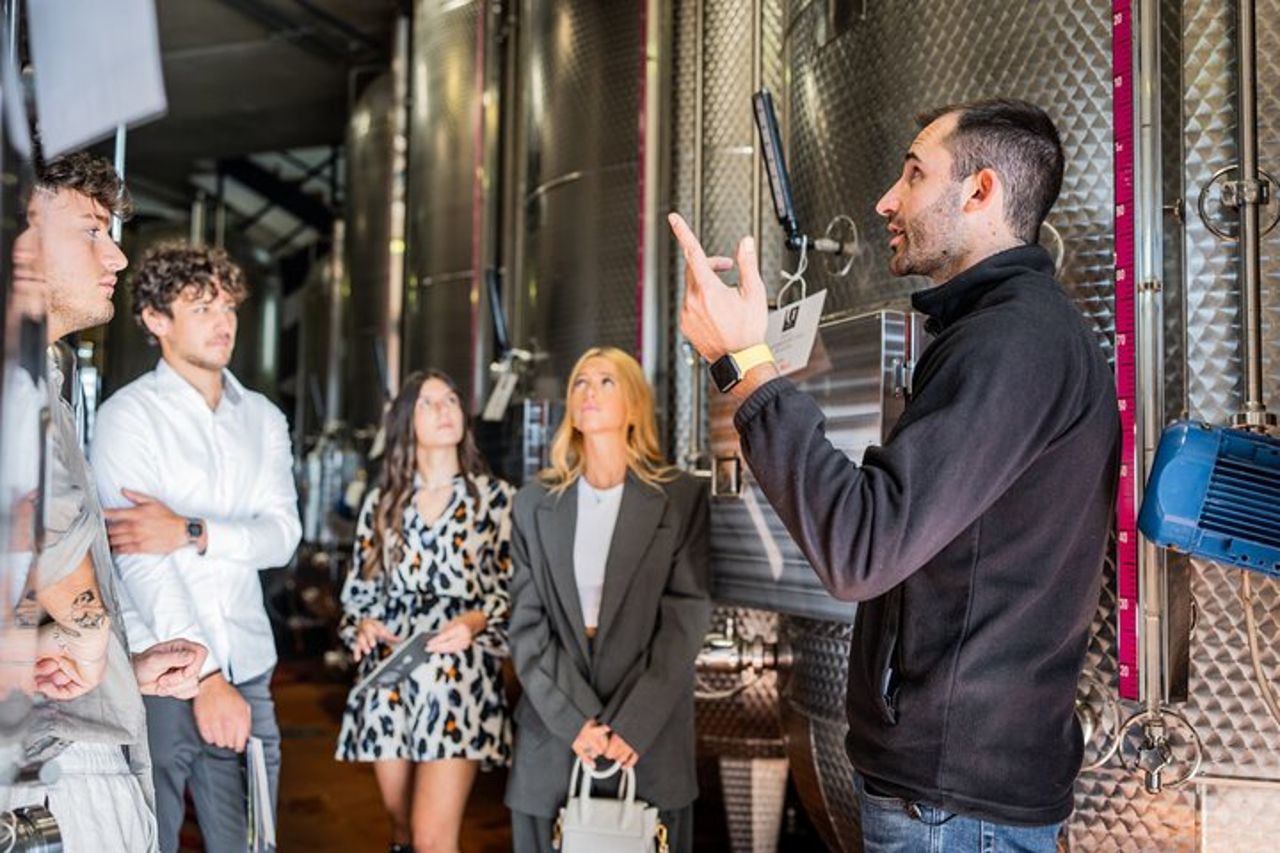 Valdobbiadene (Treviso): degustazione di Prosecco — 4