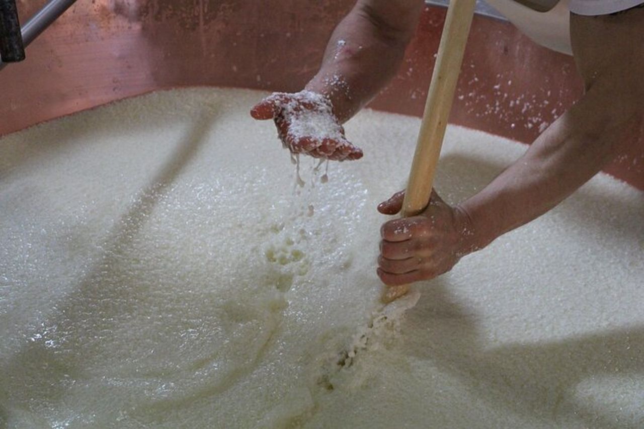 Parmigiano Reggiano & Aceto Balsamico tour con pranzo — 6