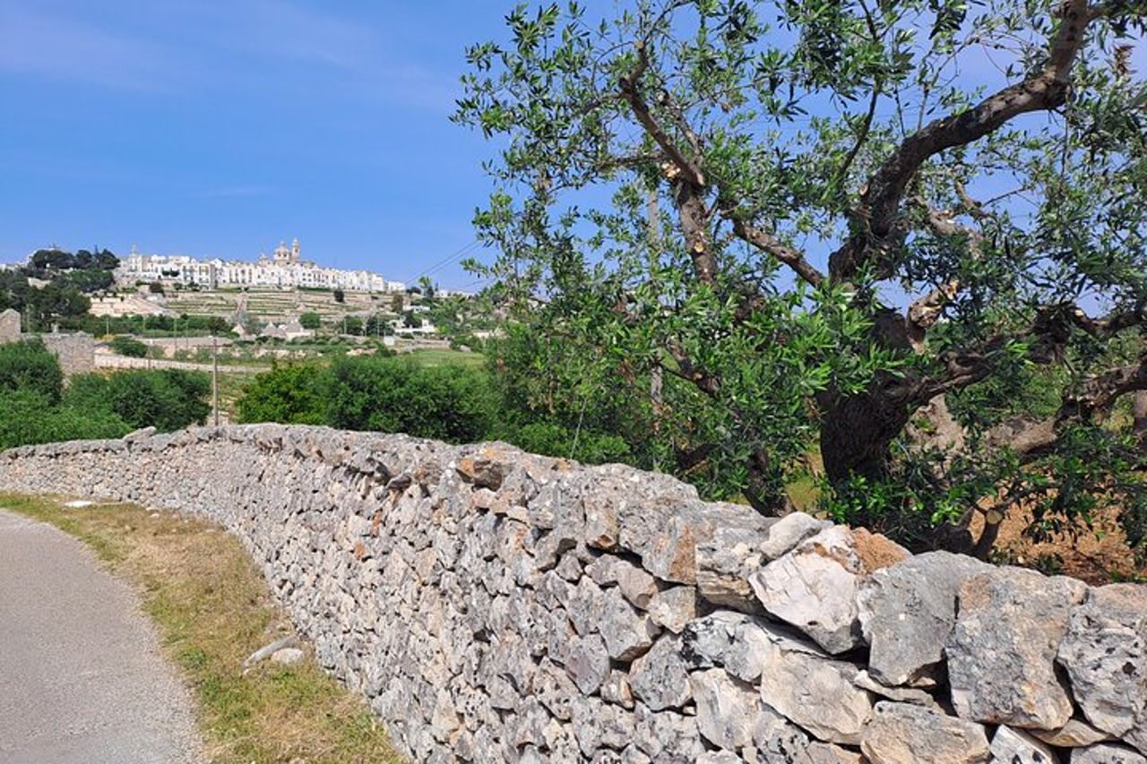 E-bike tour Alberobello e Locorotondo andata e ritorno — 9