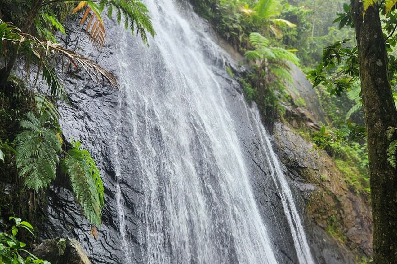 Tour della foresta pluviale nazionale di El Yunque e della spiaggia di Luquillo — 3