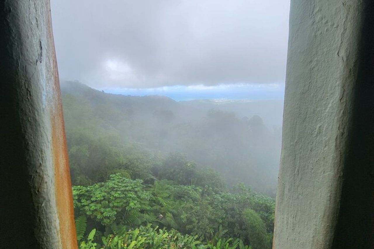 Tour della foresta pluviale nazionale di El Yunque e della spiaggia di Luquillo — 5