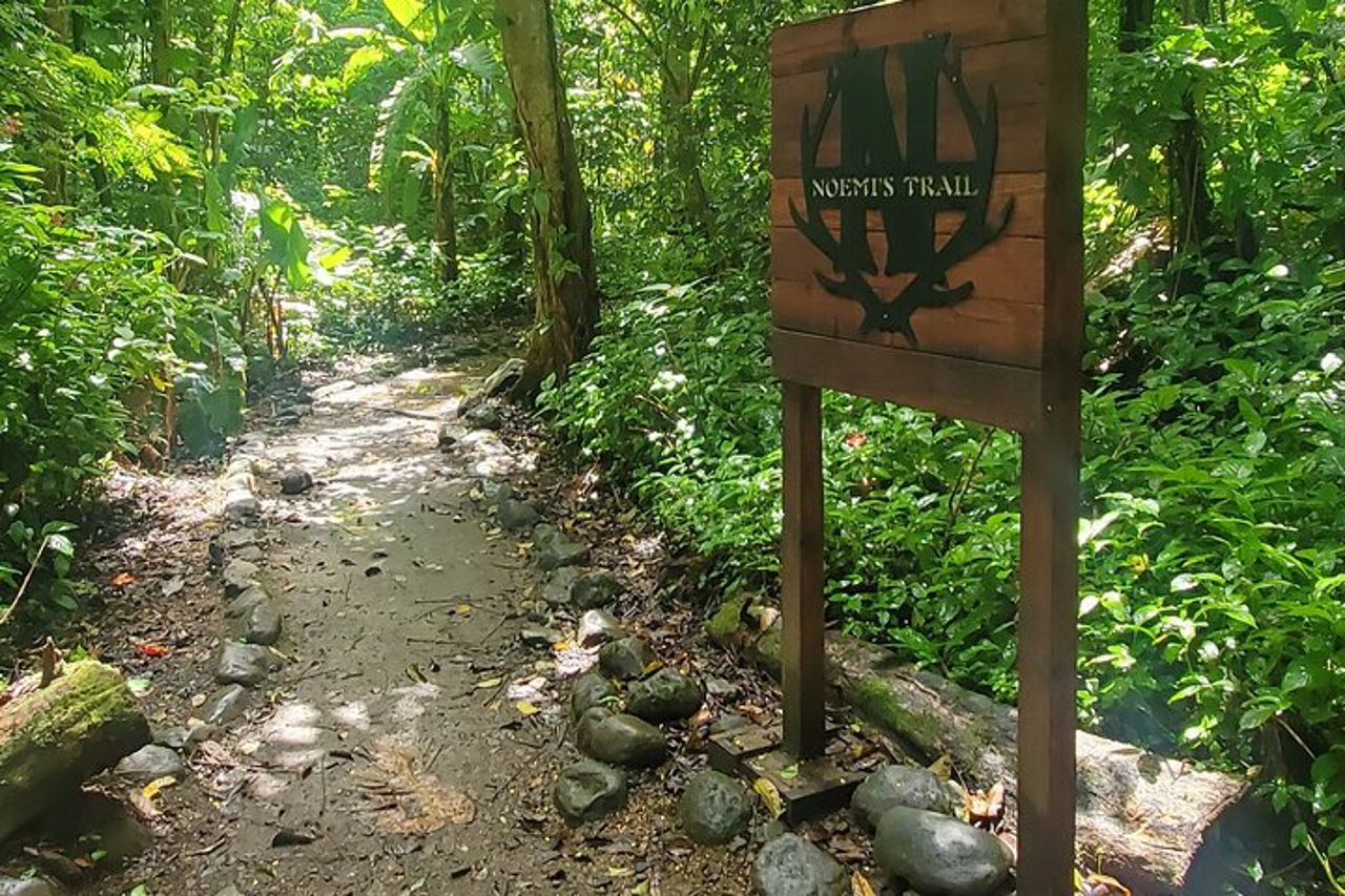 Tour della foresta pluviale nazionale di El Yunque e della spiaggia di Luquillo — 6