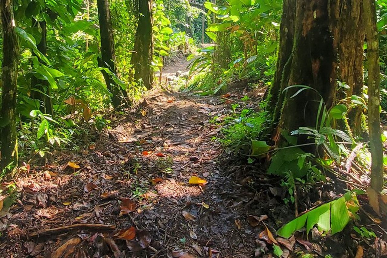 Tour della foresta pluviale nazionale di El Yunque e della spiaggia di Luquillo — 7