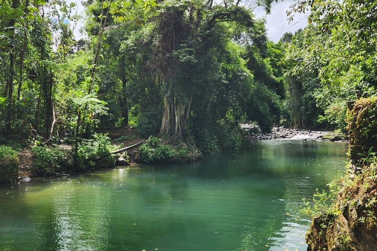 Tour della foresta pluviale nazionale di El Yunque e della spiaggia di Luquillo — 8