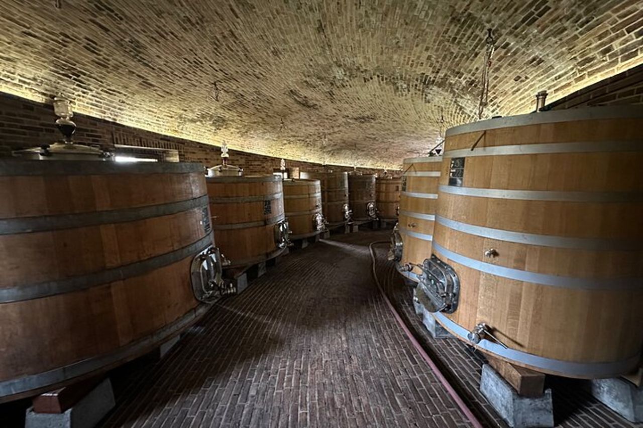 Esclusiva Montalcino Wine Experience