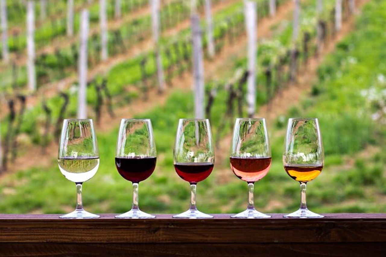 Esclusiva Montalcino Wine Experience — 3