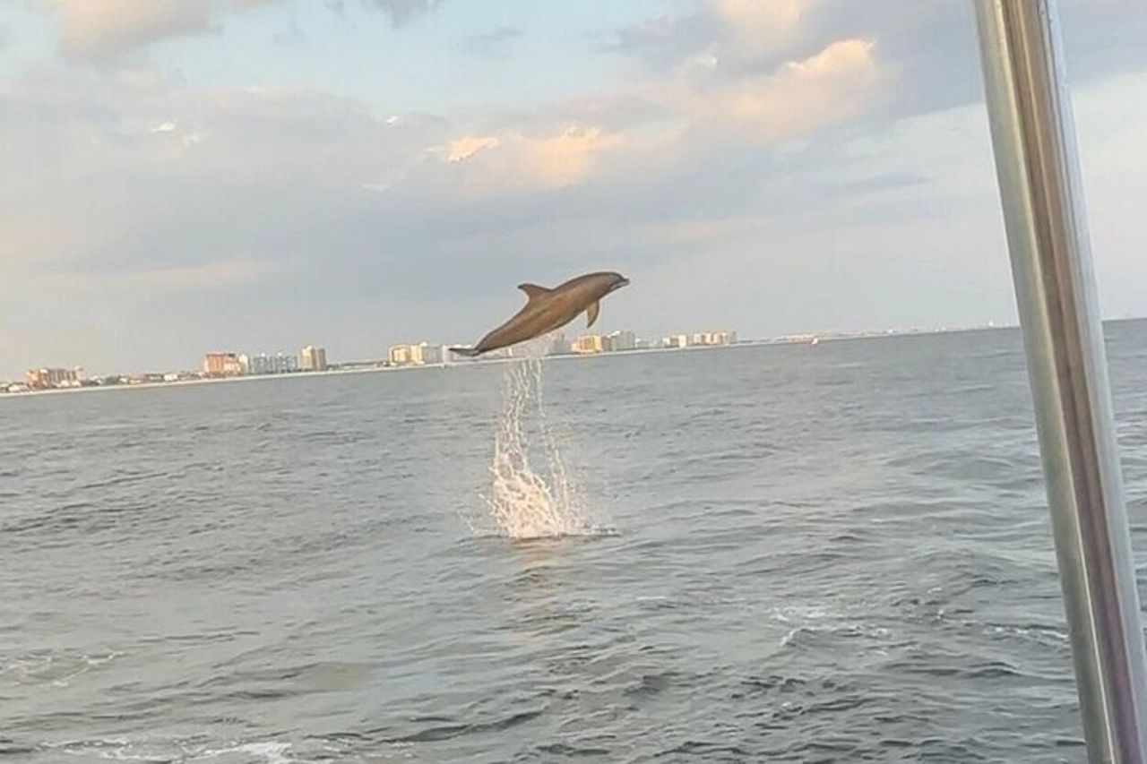 Sandestin Sunset Eco-Delphin Cruise a bordo di Sol y Luna — 7