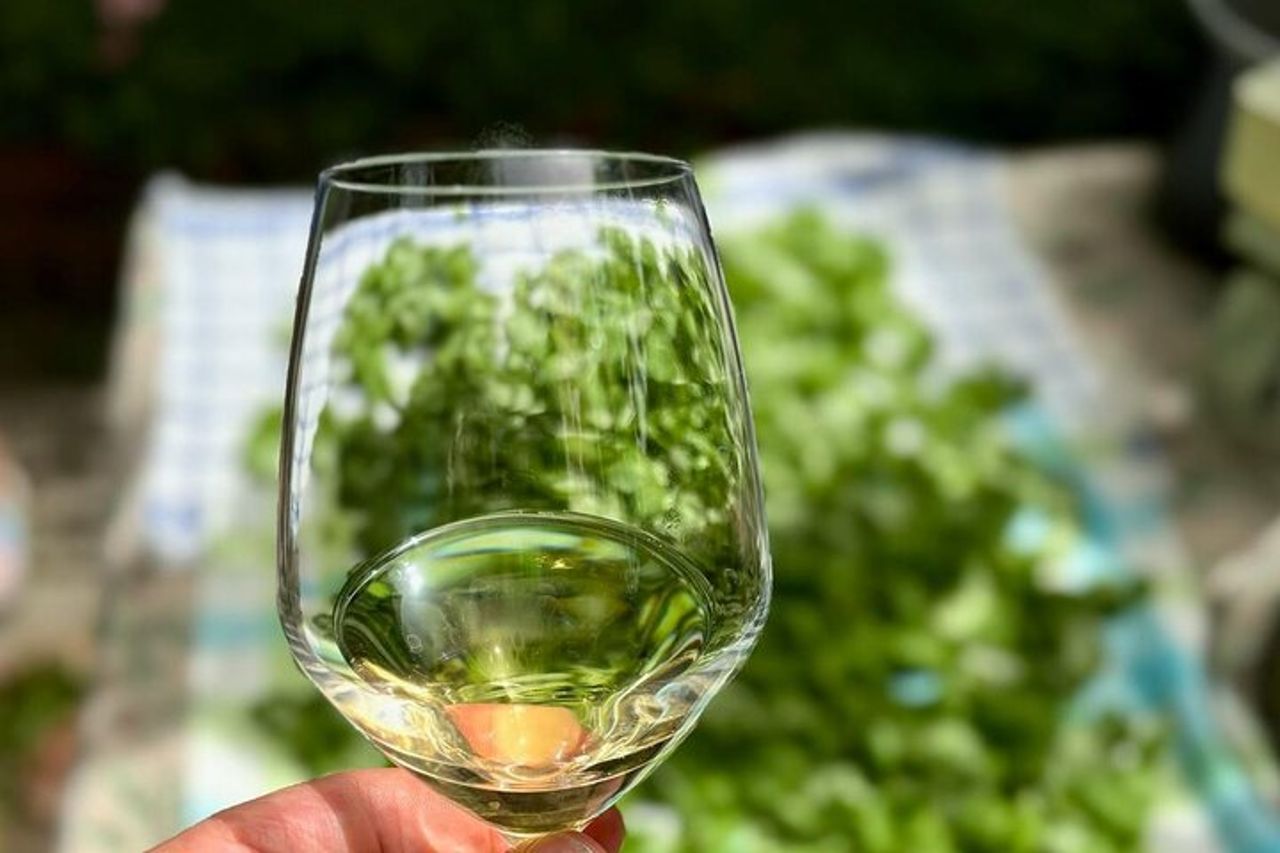 Lezione di Cucina Privata Genovese con Pranzo in Terrazza — 8