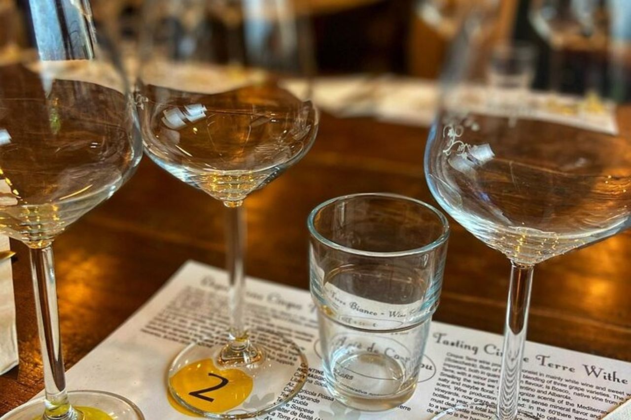 Tour del vino delle Cinque terre e degustazione con il sommelier a Manarola — 5