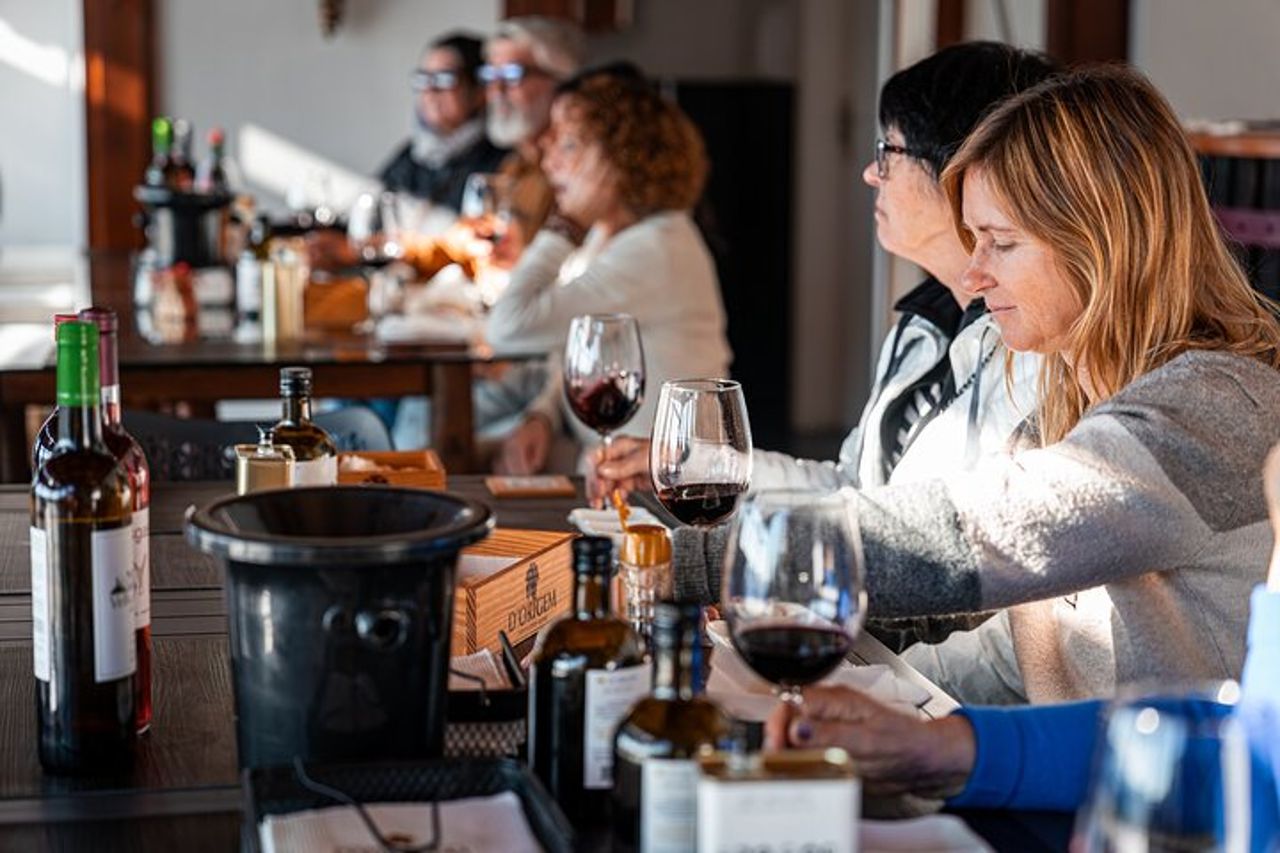 Tour di un giorno della Valle del Douro con crociera sul fiume, visita della cantina e pranzo — 4