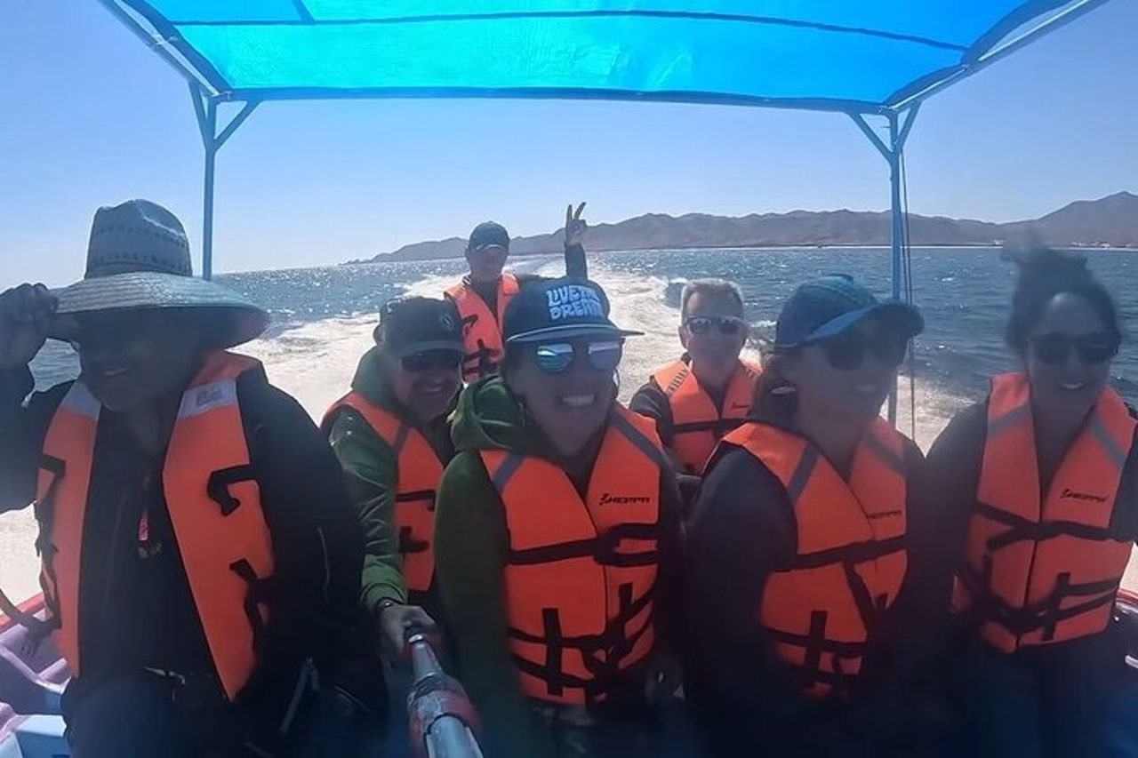 Esperienza di balena grigia limitata a 8 — 9