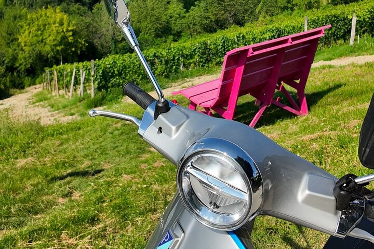 Tour in Vespa nelle Langhe con visita in cantina e pranzo — 7