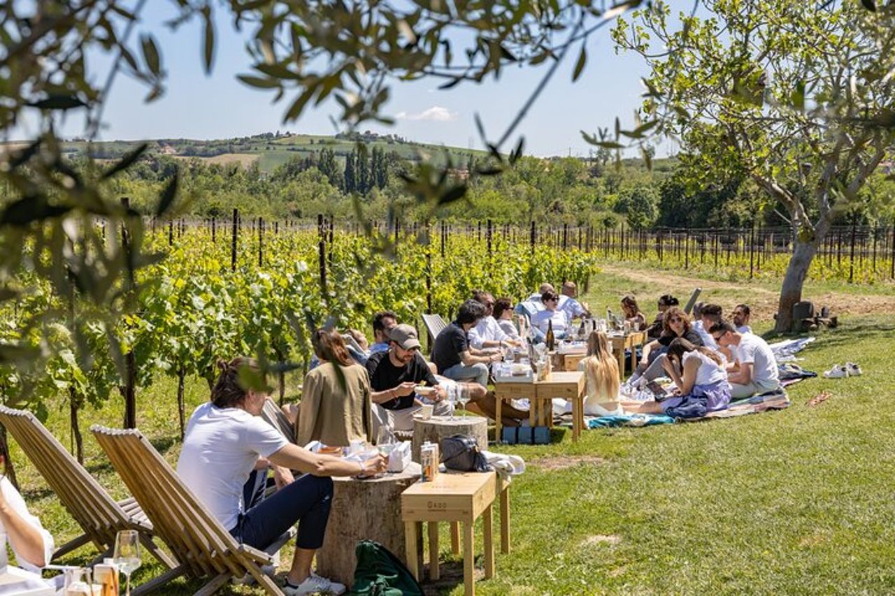 Visita in Cantina e Degustazione — 2