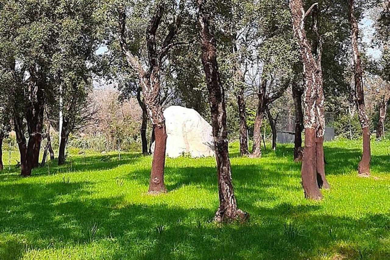 Arzana Visita ad una Fattoria con Degustazione — 6