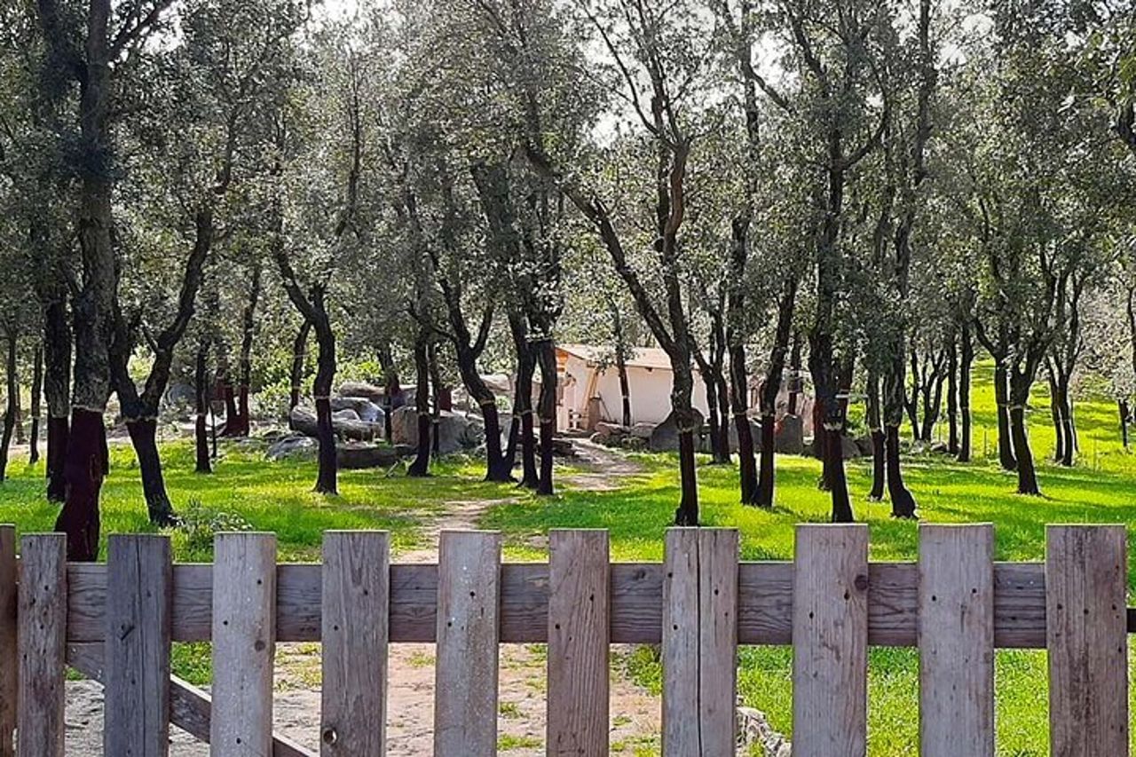 Arzana Visita ad una Fattoria con Degustazione — 7