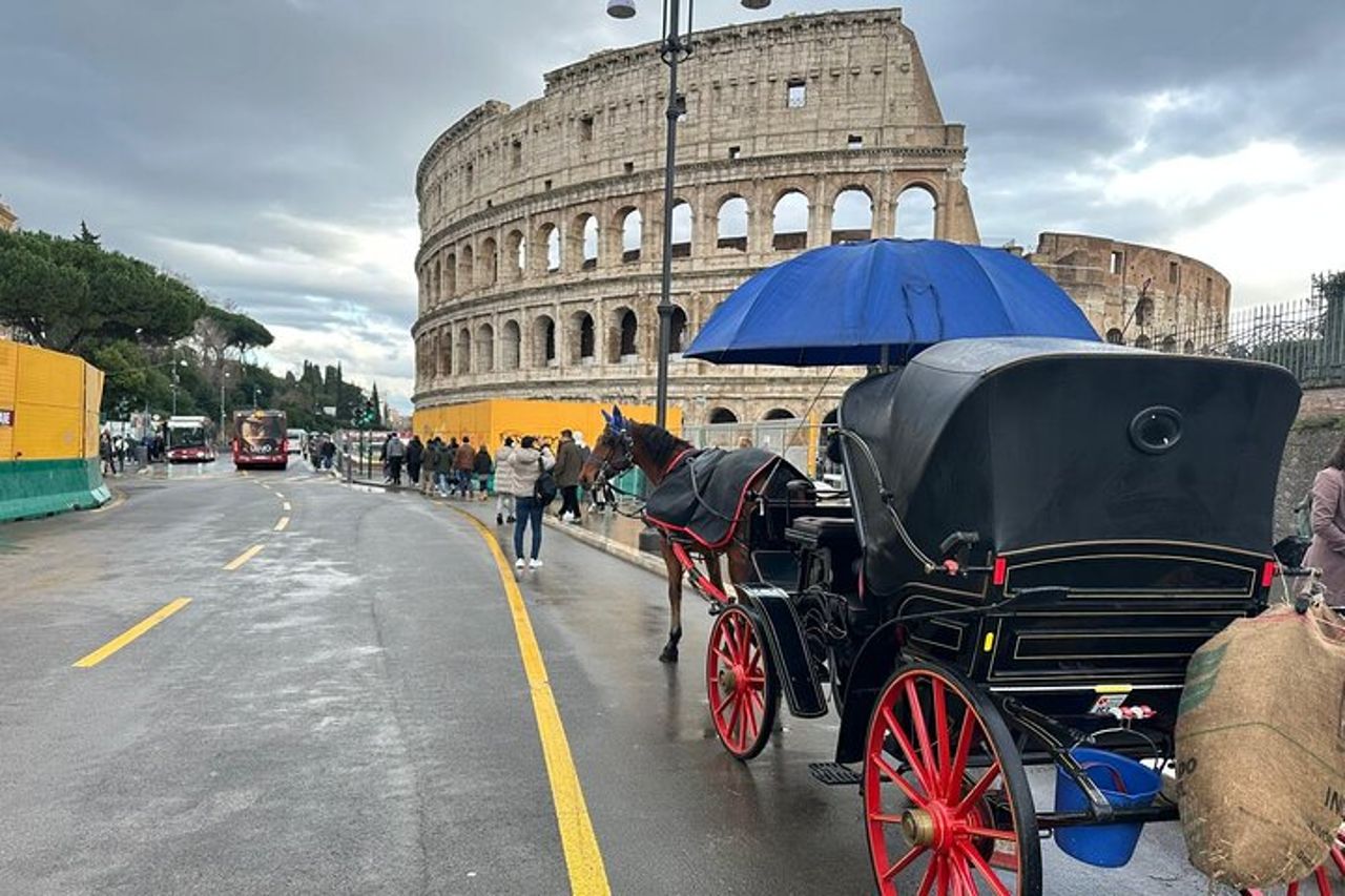Tour privato guidato completo del Colosseo Foro Romano e Palatino — 9
