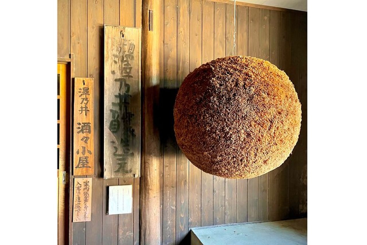 Degustazione di Sake a Tokyo — 6