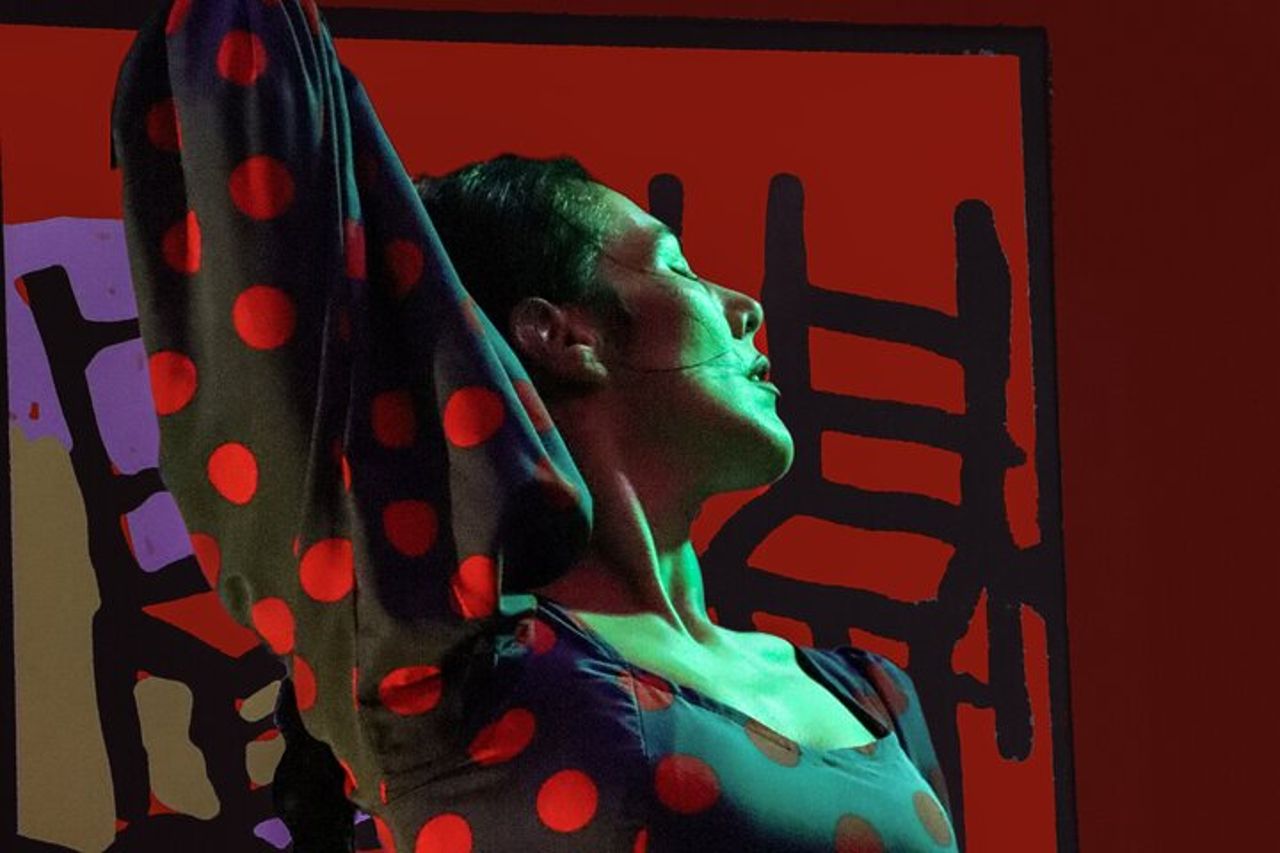 Spettacolo di flamenco all'Auditorio Alvarez Quintero di Siviglia — 2