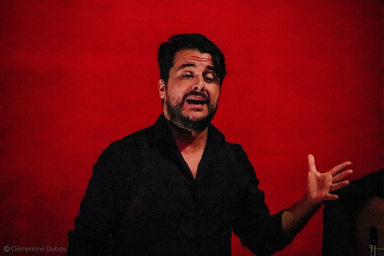 Spettacolo di flamenco all'Auditorio Alvarez Quintero di Siviglia — 7