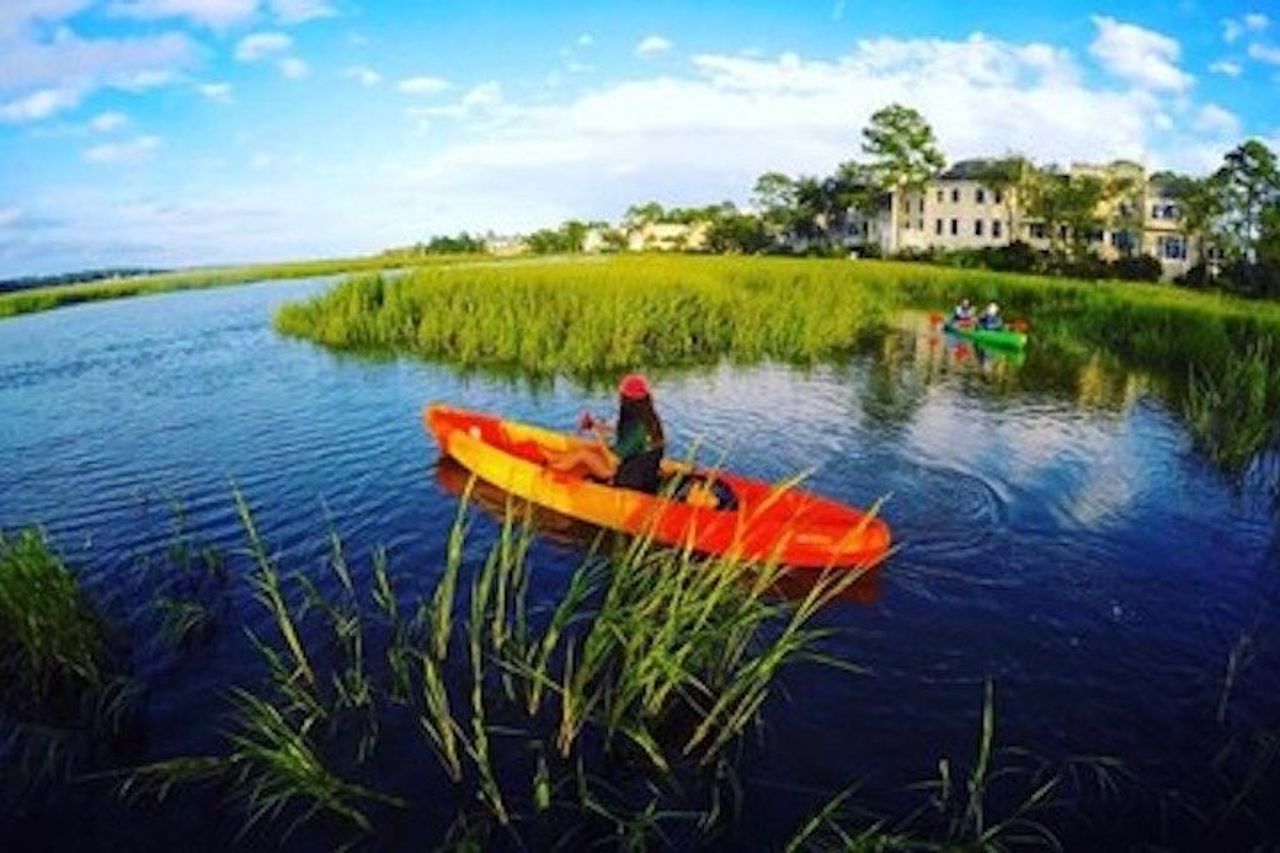 Tour ecologico guidato in kayak di Hilton Head — 4