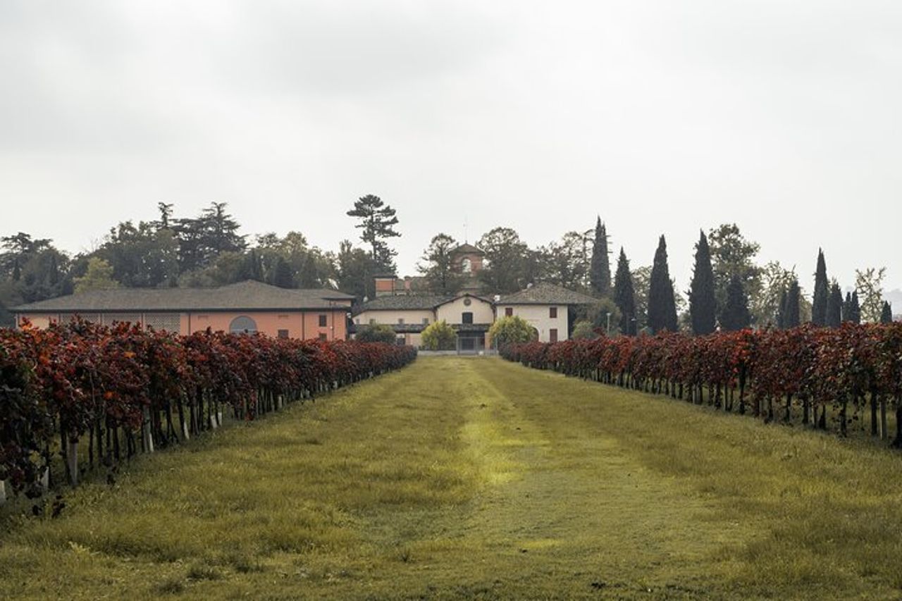 Visita Guidata Cleto Chiarli con Degustazione di Lambrusco — 7