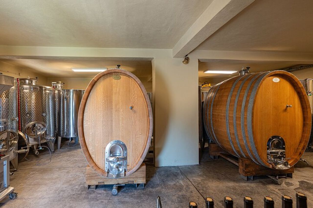 La degustazione di vini alle sei a Cefalonia Grecia — 5