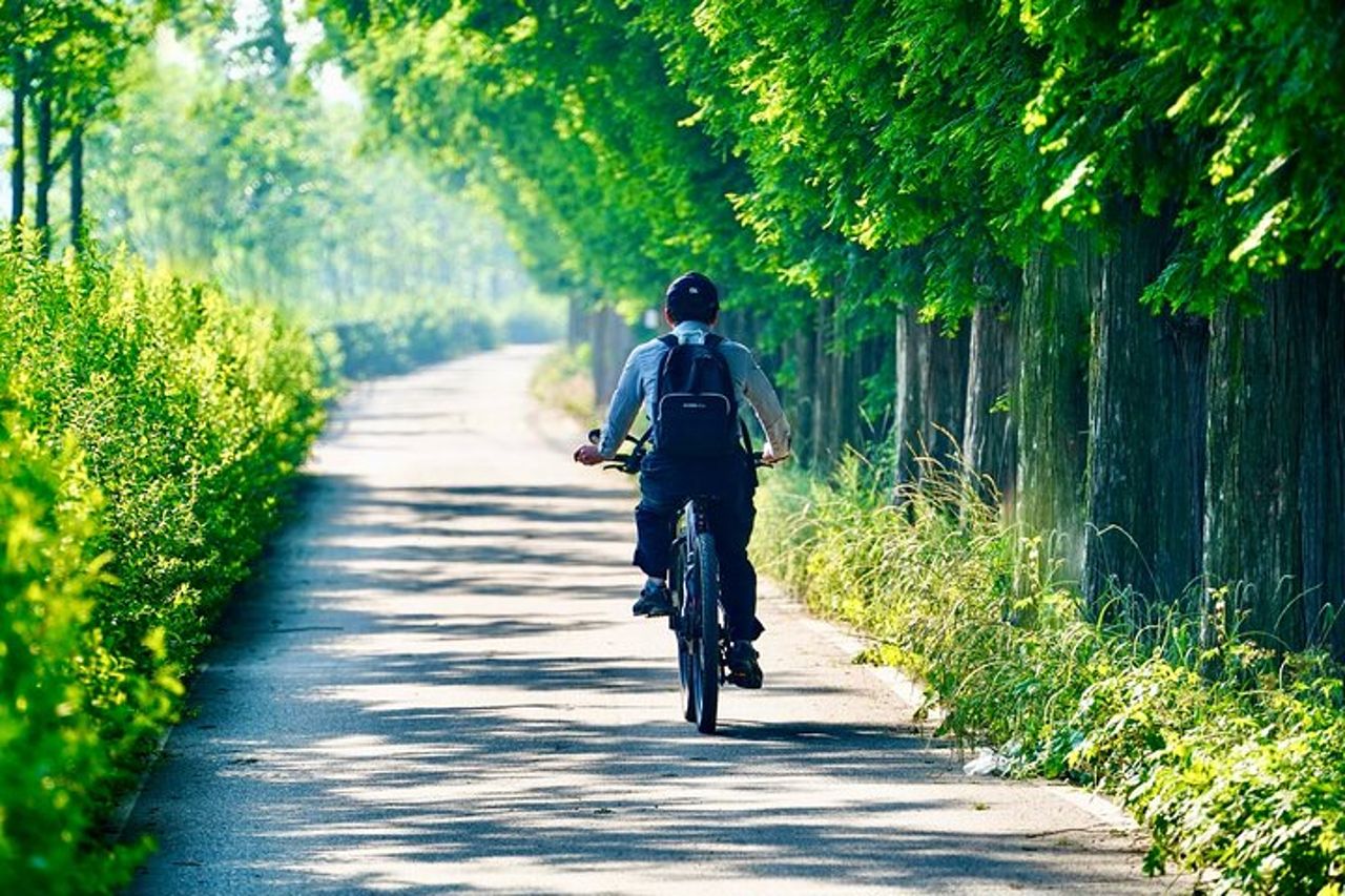 Tour in E-Bike di un'intera giornata da Ventimiglia: Valle del Nervia & Dolceacqua — 4