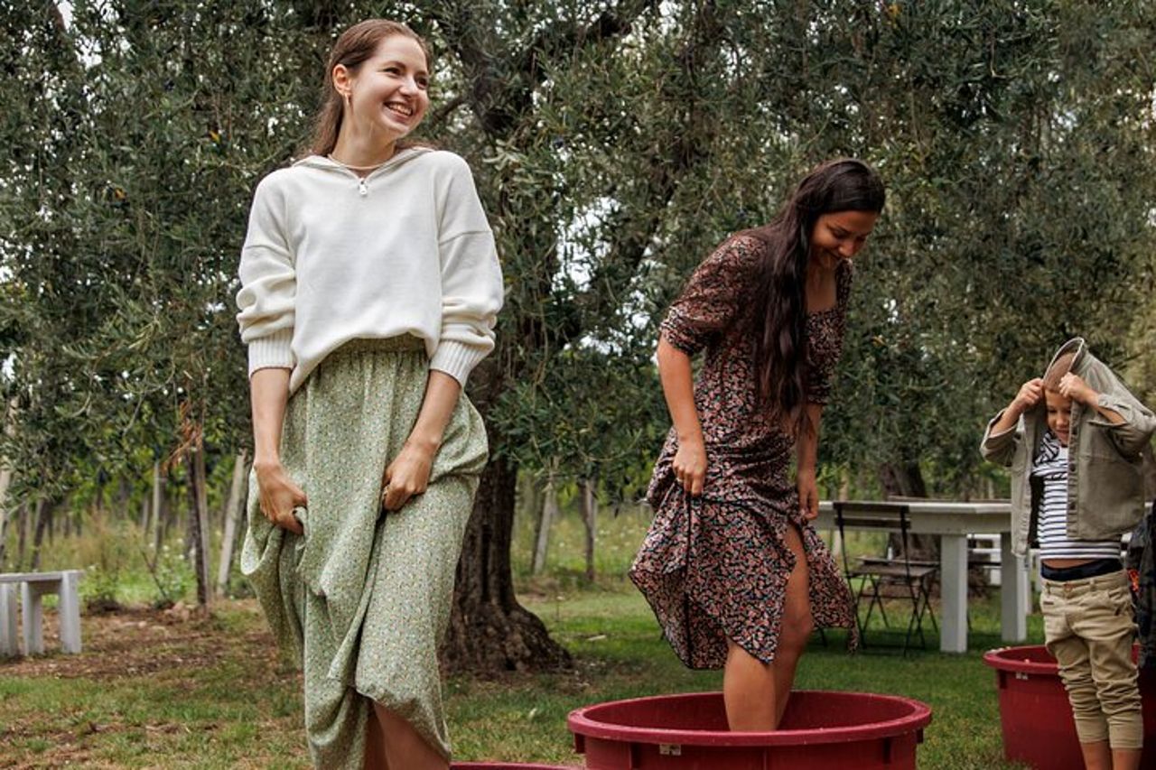 Vendemmia con Pigiatura e Picnic tra ulivi e vigne — 9