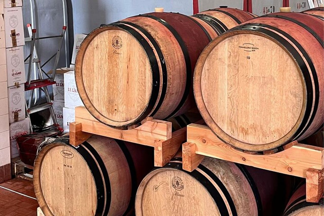 Chianti Winery + Brolio Castle Private Tour — 5