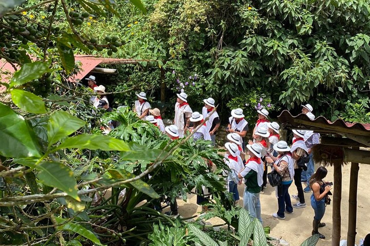 Tour del caffè bilingue a 30 minuti da Medellín, con tutto incluso. — 6