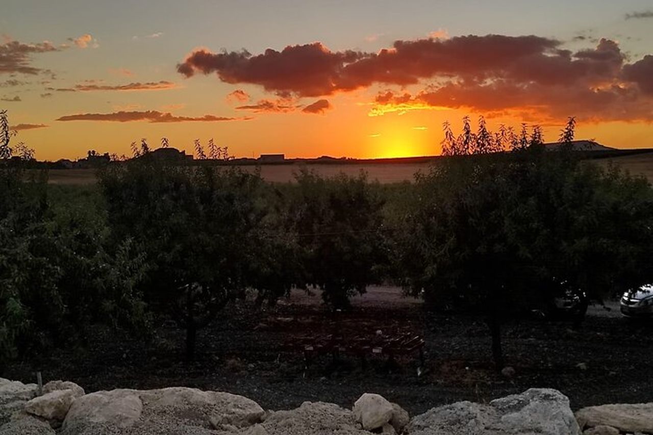 Degustazione di vini sotto le Stelle nei vigneti agrigentini — 5
