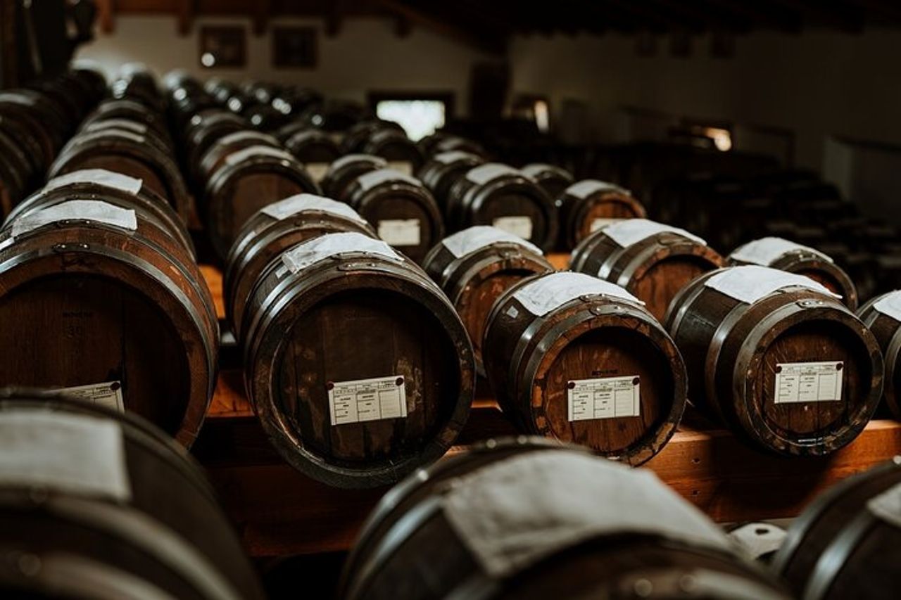 Modena Degustazione di Aceto Balsamico e Museo Enzo Ferrari — 2