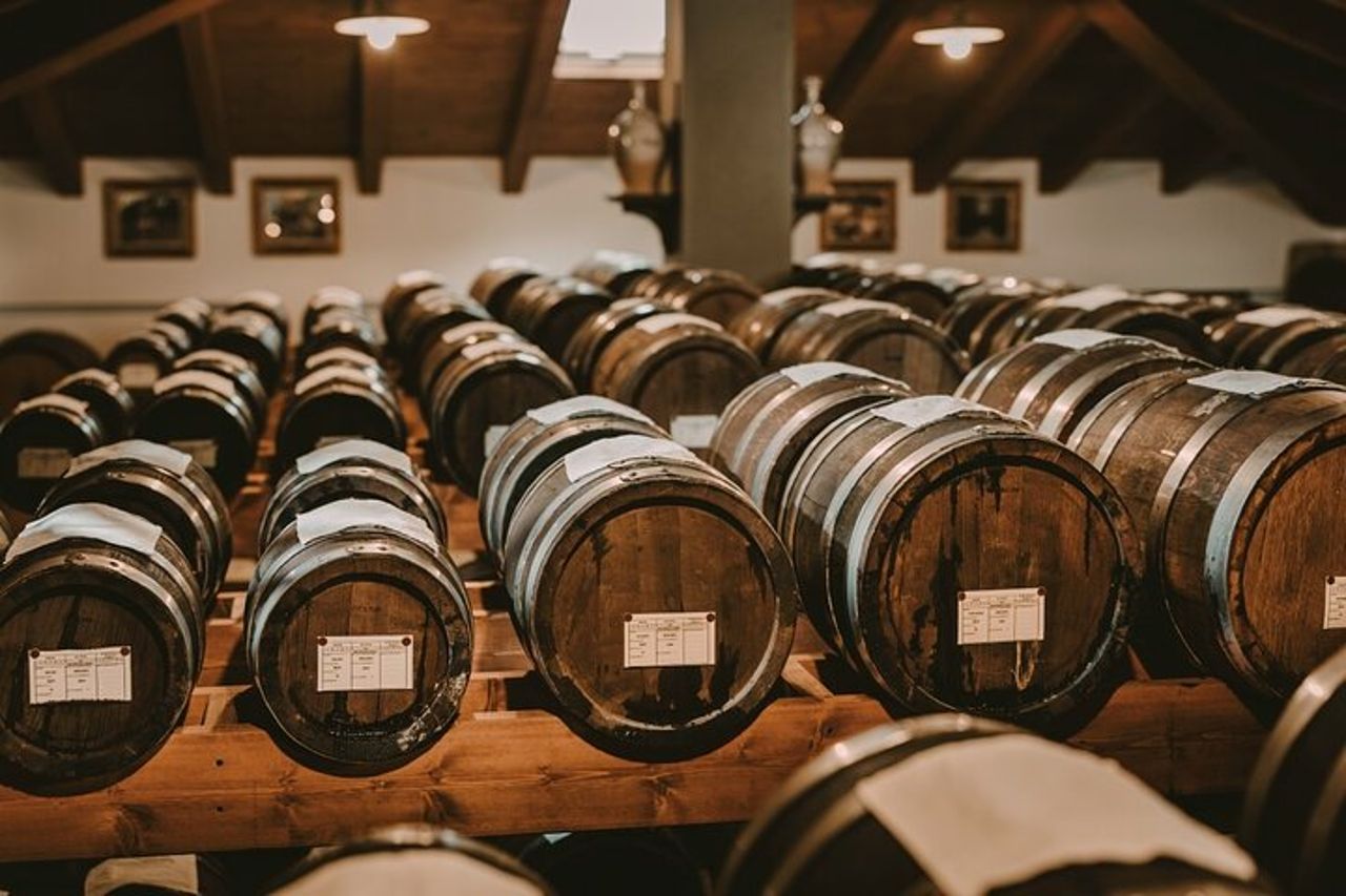 Modena Degustazione di Aceto Balsamico e Museo Enzo Ferrari — 4