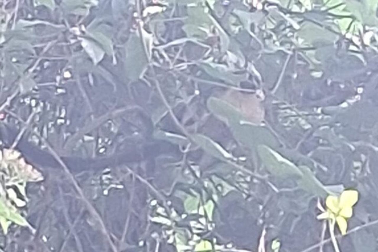 Camminare sul Cerro Ancón: Natura e panorami unici — 8