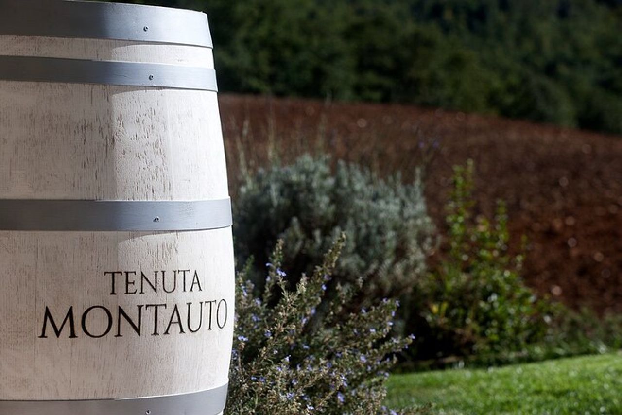 Da Civitavecchia: Wine Tour Toscana-Laziale con Degustazioni — 4