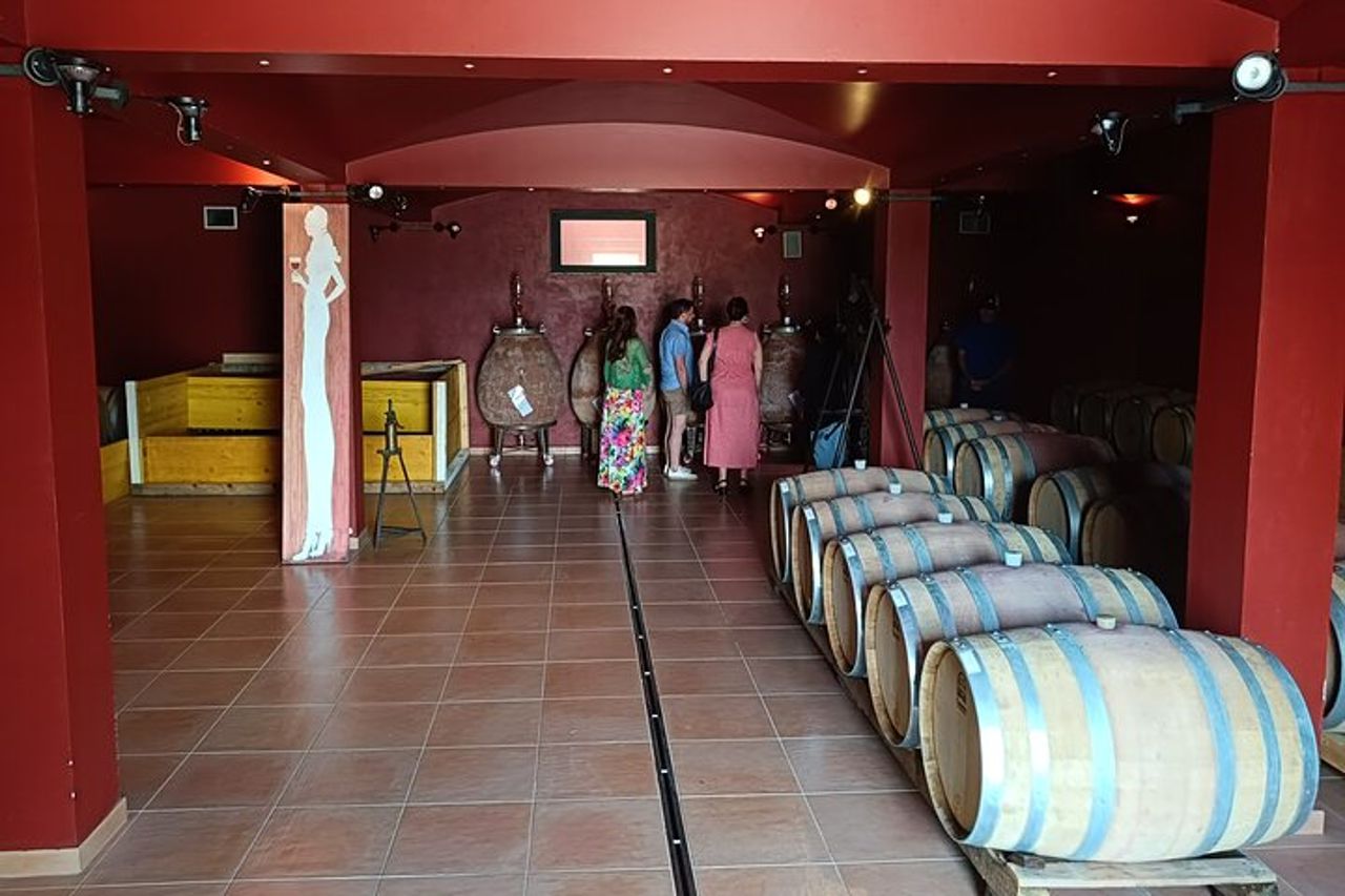 Da Civitavecchia: Wine Tour Toscana-Laziale con Degustazioni — 5